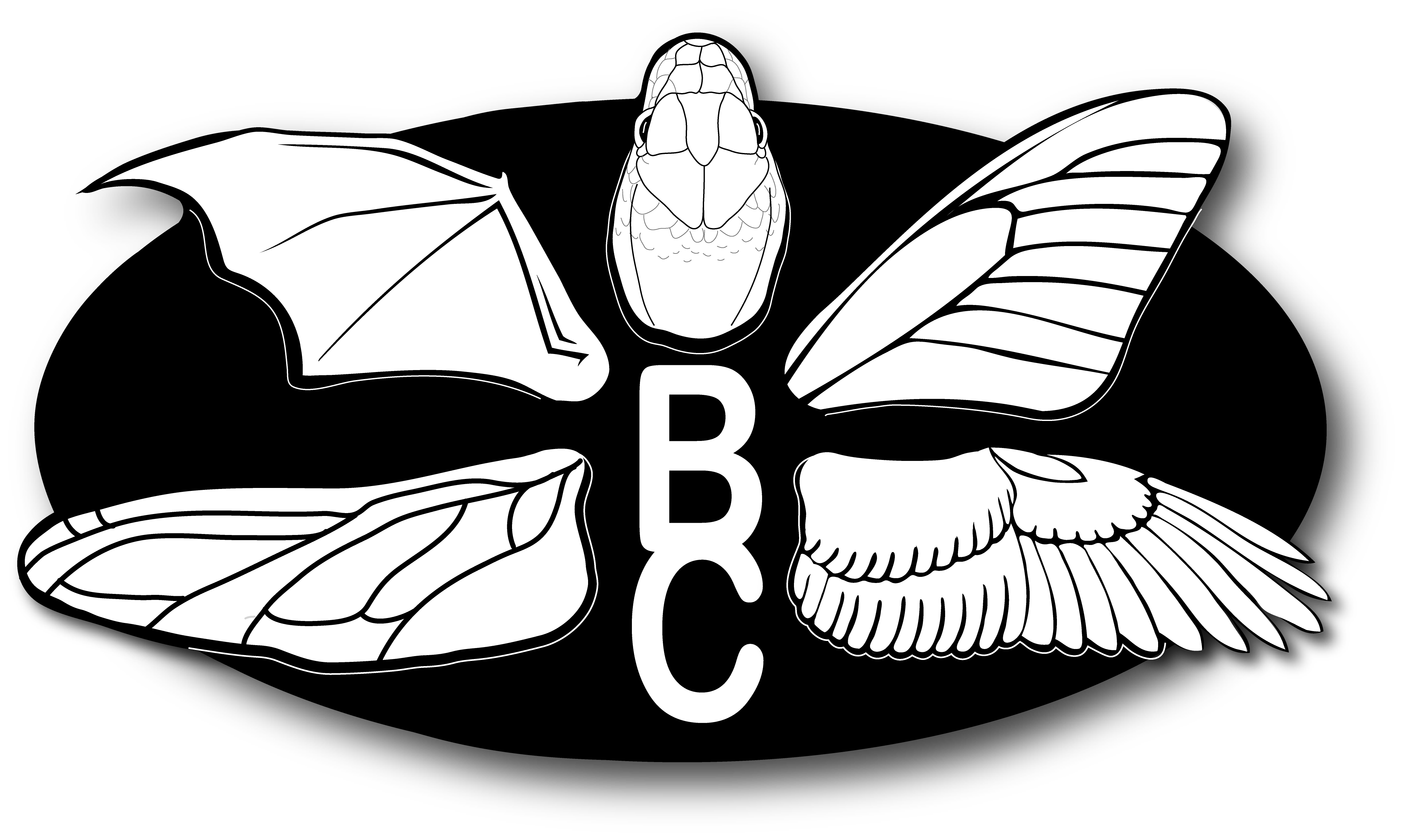 Logo brasserie du castor